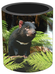 3D Stubby Holders Set of 4 Lenticular Printed Aussie Designs - 34 to choose from - fair-dinkum-gifts