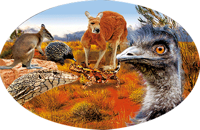 3D Oval Sticker Aussie Animals Australian Souvenirs Lenticular Bumper Stickers - fair-dinkum-gifts