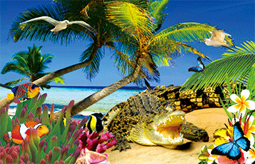 3D Magnets Group 3 - fair-dinkum-gifts