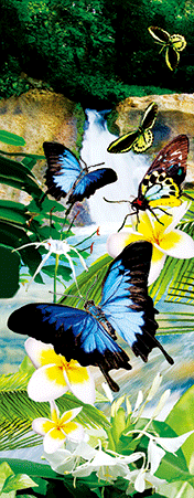 Pack of 5 x 3D Bookmarks LENTICULAR Book Marks Aussie Australian Theme Animals Souvenirs - fair-dinkum-gifts