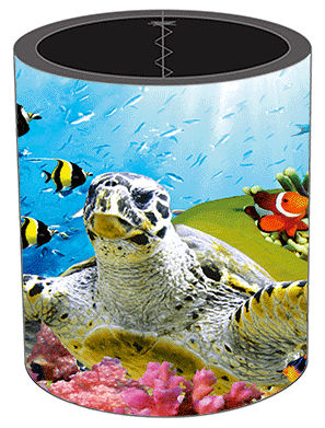 3D Stubby Holders Set of 4 Lenticular Printed Aussie Designs - 34 to choose from - fair-dinkum-gifts