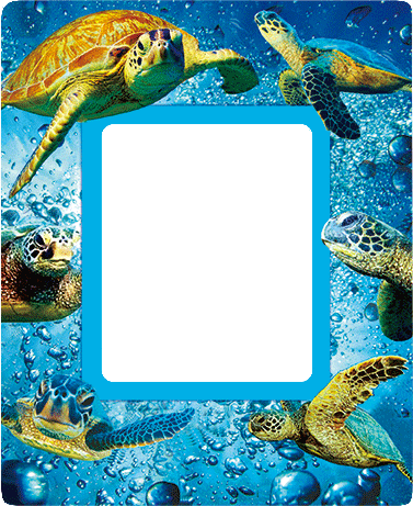 3D Photo Frame Magnets - Group 1 - fair-dinkum-gifts