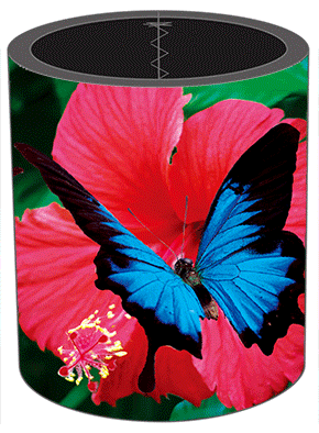 3D Stubby Holders Set of 4 Lenticular Printed Aussie Designs - 34 to choose from - fair-dinkum-gifts