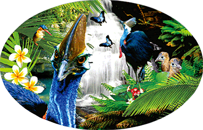 3D Oval Sticker Aussie Animals Australian Souvenirs Lenticular Bumper Stickers - fair-dinkum-gifts