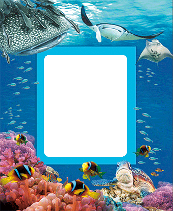 3D Photo Frame Magnets - Group 1 - fair-dinkum-gifts