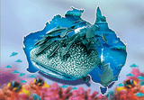 3D Postcard Aussie Themes Australian Animals Souvenir Group 3 - fair-dinkum-gifts