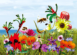 3D Magnets Group 3 - fair-dinkum-gifts