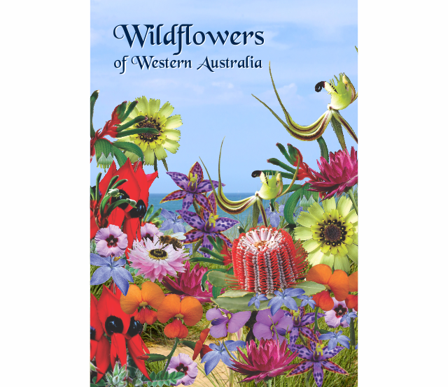 Microfibre Teatowels Australian Designs Souvenir Gifts - fair-dinkum-gifts