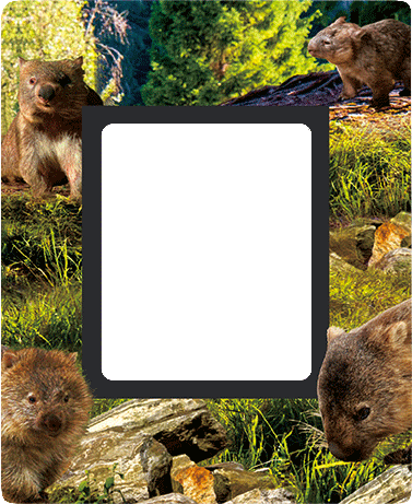 3D Photo Frame Magnets - Group 1 - fair-dinkum-gifts