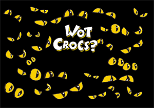 3D Magnets Group 1 - fair-dinkum-gifts